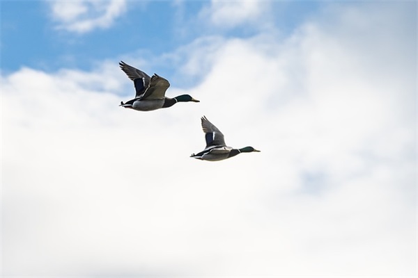 温馨家庭群聊名称(精选5篇)