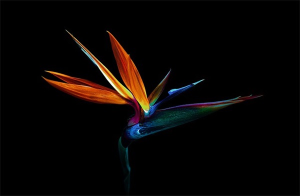 真没想到(精选4篇)