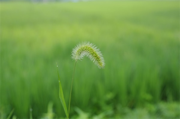 骂小偷的话不带脏字(精选51句)