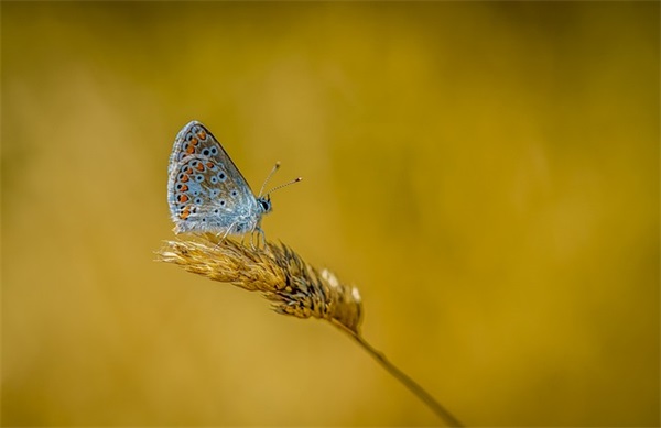 一句话吸引人文案 一句话吸引人文案图片(精选101句)