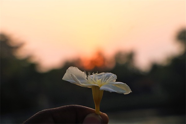 文学是灯(精选3篇)