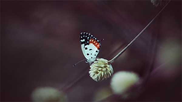 520发给女朋友的暖心话(精选76句)