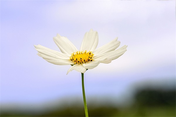 2024土木专业求职简历模板(精选3篇)