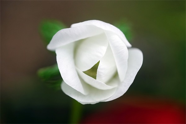 企业仓库管理规章条例(精选3篇)