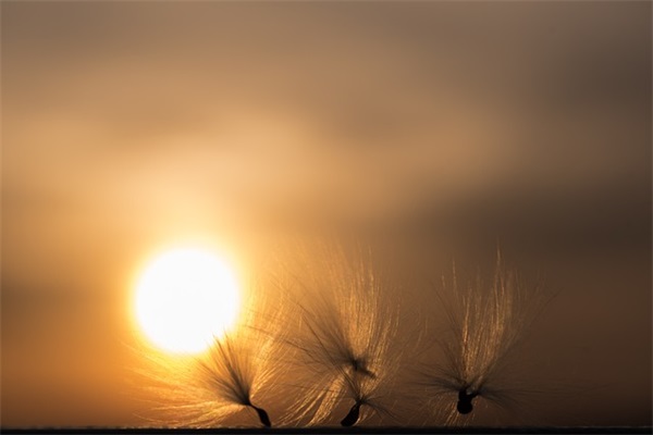 积极分子竞选发言一分钟(精选3篇)