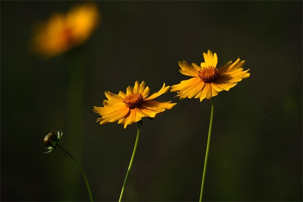经典骂人话语 经典骂人话语带脏字(精选77句)