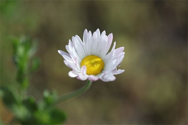 博物馆一日游(精选6篇)