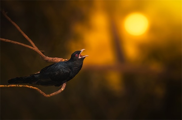 幼儿教师教育格言 幼儿园师德师风培训ppt