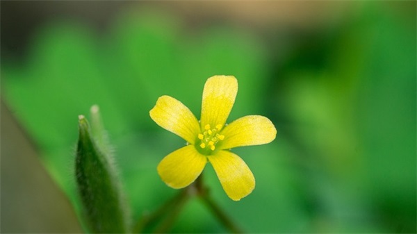 员工宿舍管理制度优秀范例(精选3篇)