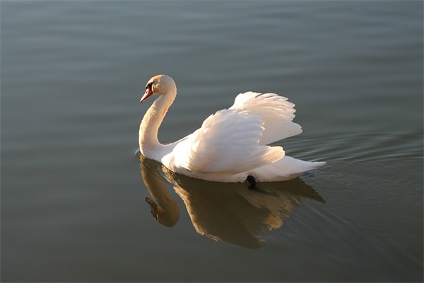 最新分手的伤感文案(精选63句)