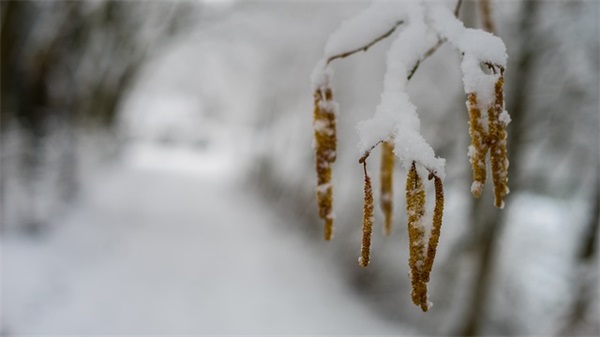 给自己一些鼓励的话 小学生鼓励自己的话(精选65句)