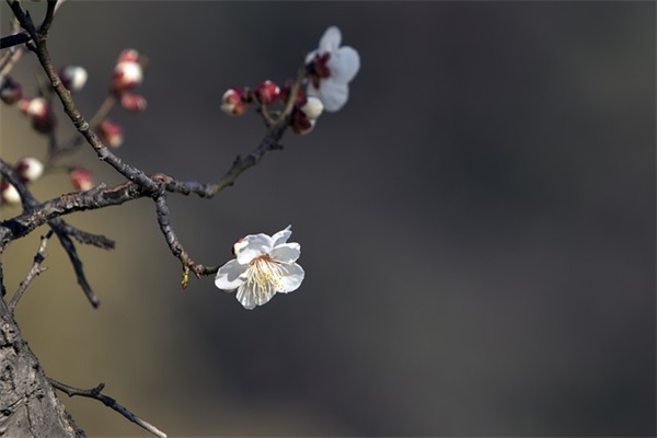 适合公司年会唱的歌大全(精选6篇)