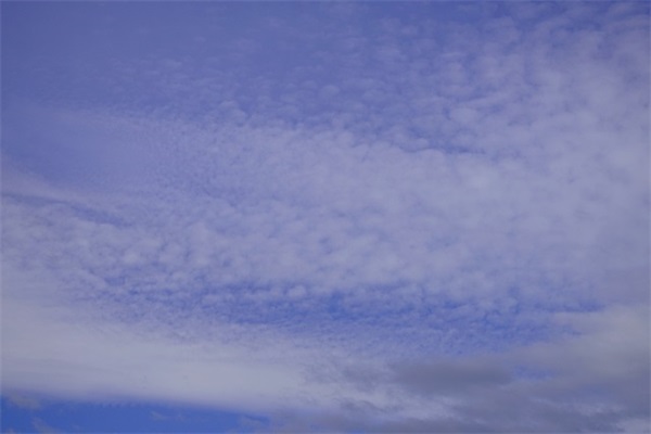 颠沛流离的语句 为了生活谁愿颠沛流离语句