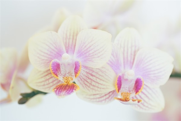 用连续动作写一句话(精选53句)