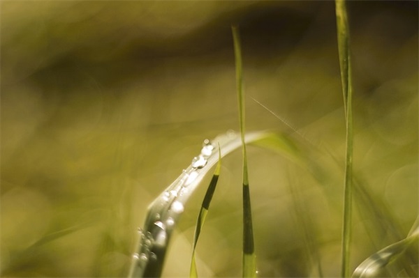 珍惜拥有短句 感恩珍惜拥有的短句(精选82句)