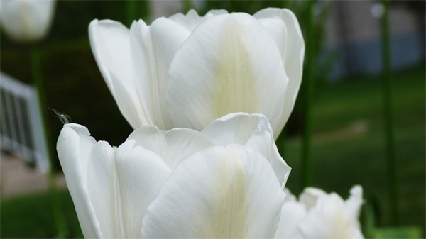 500强企业精神口号大全 企业精神口号大全16字