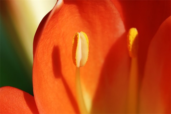 会计岗位职责(精选4篇)