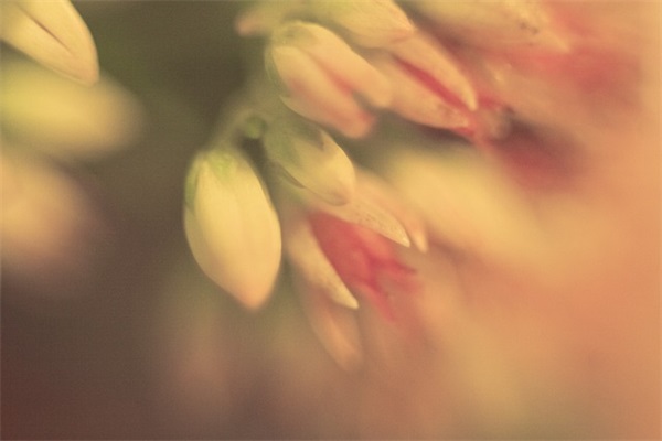 读《匆匆》有感300字