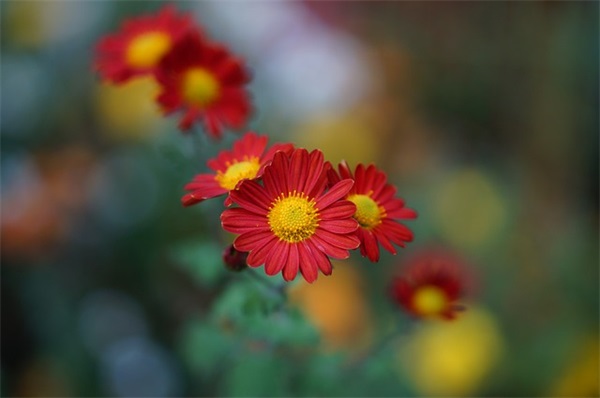 关于情感类的抖音文案 打动人心的抖音情感文案