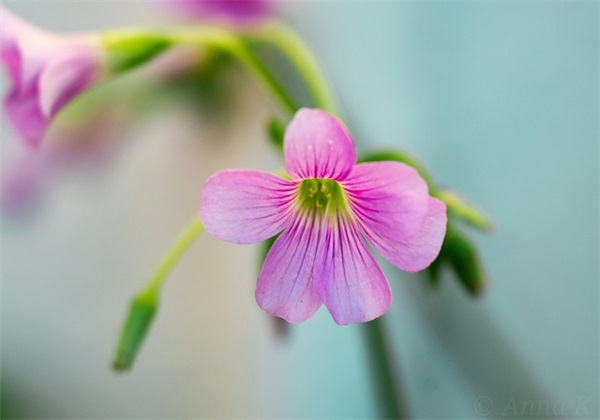 跑步发朋友圈心情短语(精选66句)