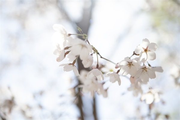深夜朋友圈正能量短句 深夜下班发的朋友圈短句正能量