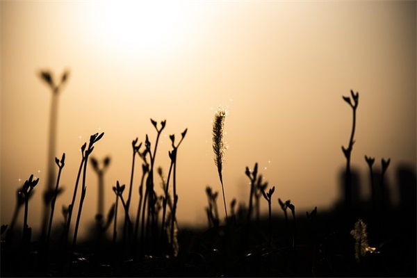 情侣个签一对简短唯美 情侣个签一对简短唯美带符号