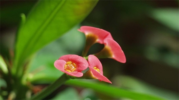 做微商个性签名有吸引力的 女人做微商的个性签名
