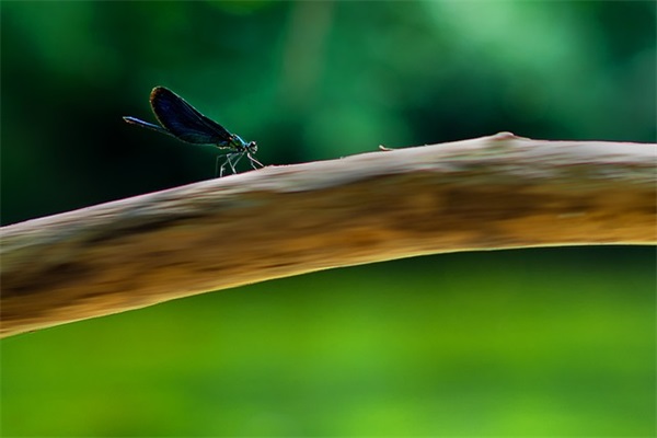 疫情期间问候语及关心话 疫情期间问候语及关心话发给客户