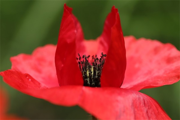 百日誓师简短霸气誓词 高三百日誓师誓词简短激昂的