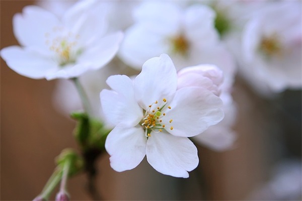 匆匆第3自然段仿写(精选14篇)