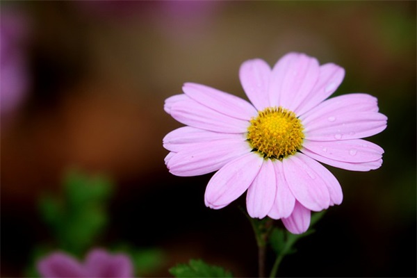 职责表述车间主管(精选5篇)