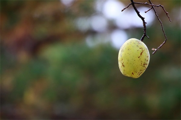 关于2024跨年走心文案(精选3篇)