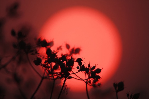 2024物理专业求职简历大全(精选3篇)