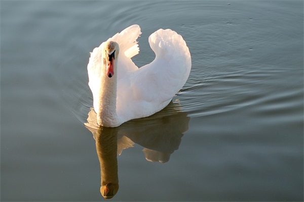 微信个性签名霸气简短正能量(精选78句)