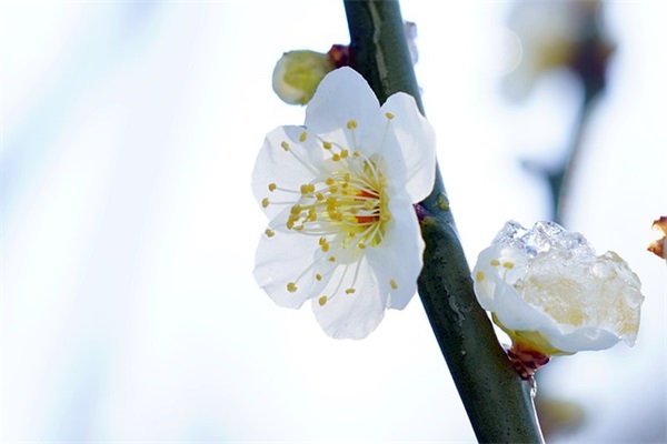 2024年最好听微信昵称(精选237个)