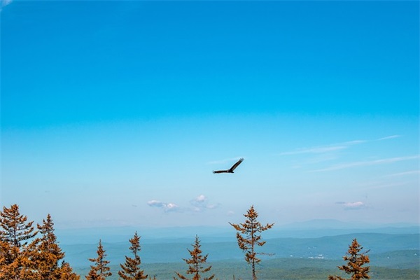 一个好地方(精选6篇)