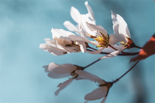 教师节朋友圈文案简约 教师节朋友圈最火文案
