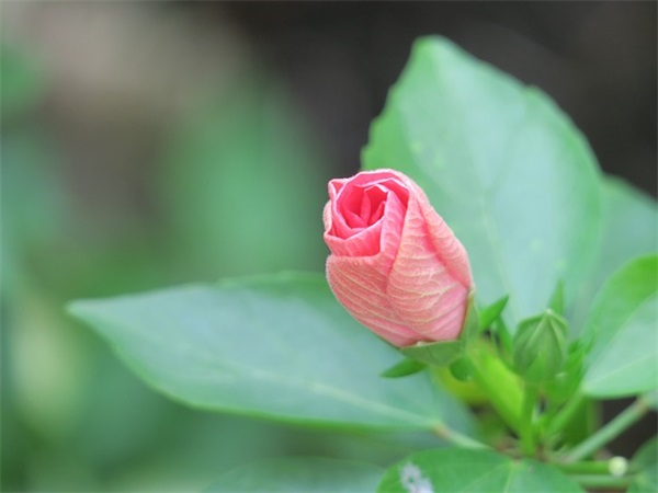 能让男人瞬间就哭的话推荐 精华简短十句话穿透人心