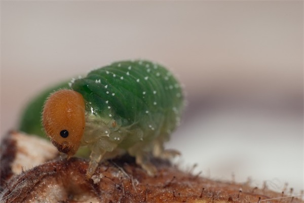 能让男人瞬间就哭的话推荐 精华简短十句话穿透人心