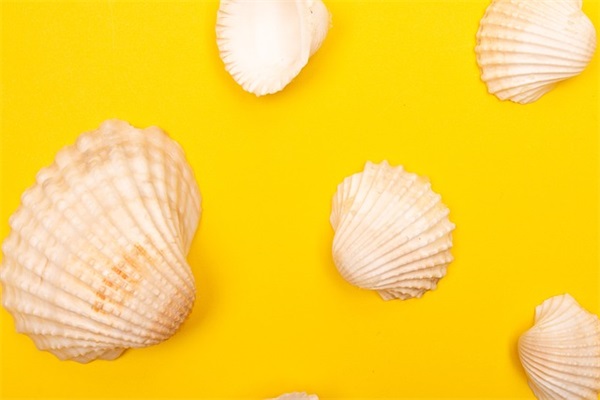 66祝寿佳句集锦 66祝寿佳句集锦二舅(精选35句)