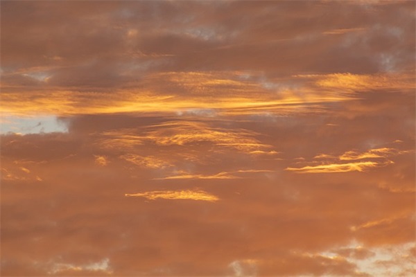 餐厅主管岗位职责(精选3篇)