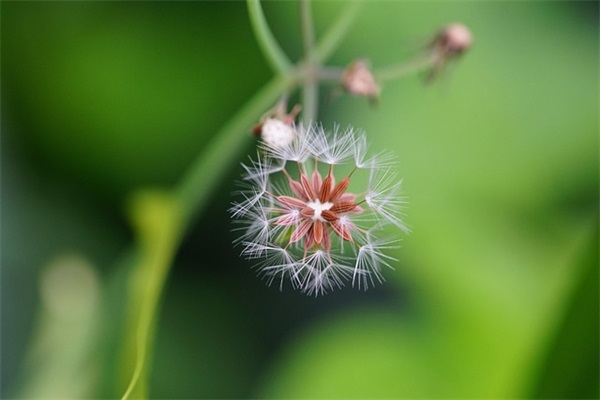18岁生日短句写给自己 生日短句 写给自己优雅