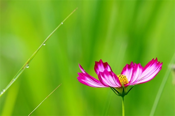 行政副总经理岗位职责(精选4篇)