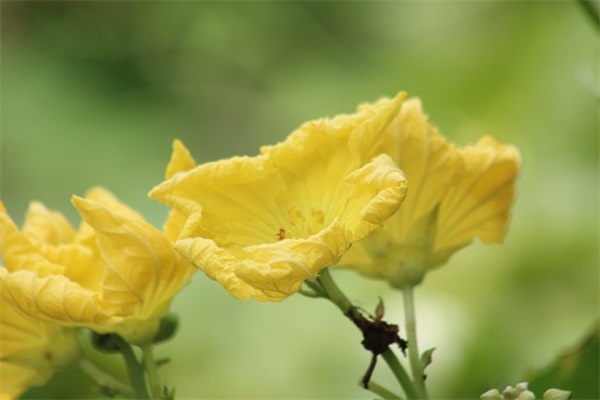 特别暖的早安图片 早安暖心话(精选43句)