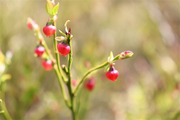 别了什么(精选4篇)