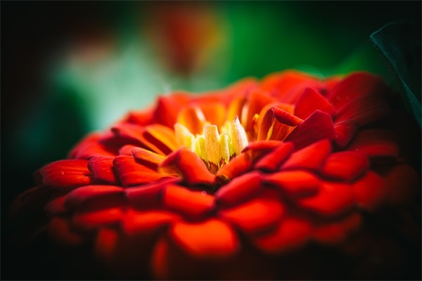 个性短语 关于姓郑的个性短语(精选63句)