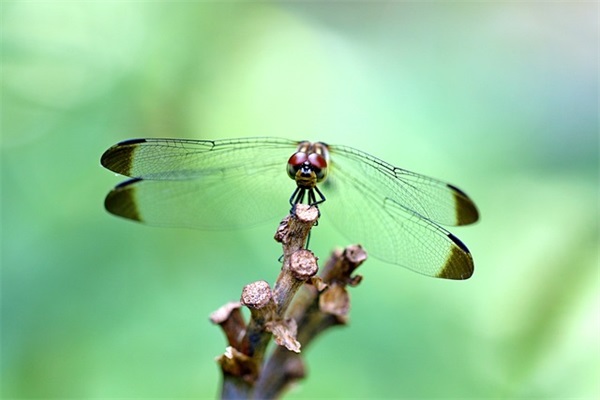 玩游戏搞笑句 玩游戏的搞笑段子(精选96句)