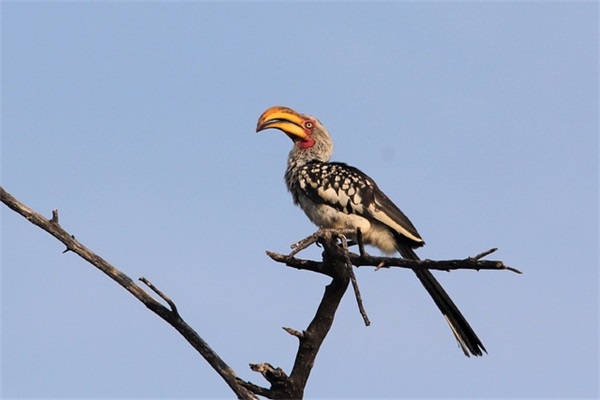 私人订制台词 私人订制台词对白(精选59句)