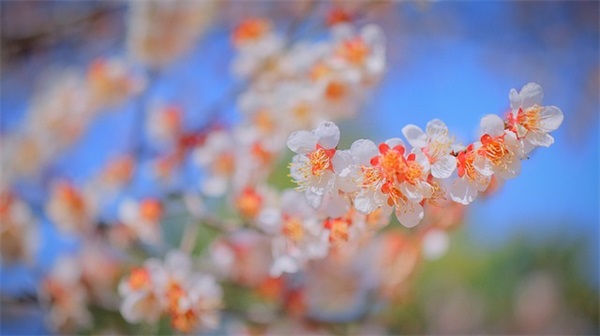 真心话问题大全最新刺激 真心话问题大全刺激